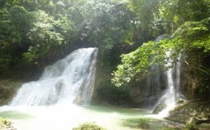 TWIN FALLS in barangay Guingoyuran, Dimiao town is fast becoming a tourist destination with the launch of April Falls Day.