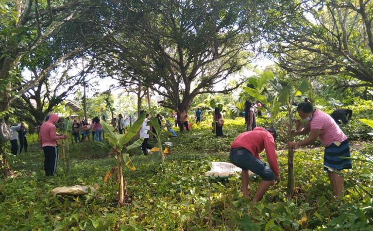 No planting, no cash for 11,000 TUPAD beneficiaries in Bohol